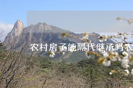 农村房子能隔代继承吗(农村房子可以继承吗)