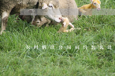 农村拆迁合同纠纷怎么处理征拆