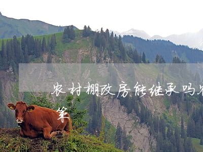 农村棚改房能继承吗(农村房屋继承后翻建政策)