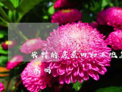 农村的房屋田和土地怎么继承(农村田可以继承吗)