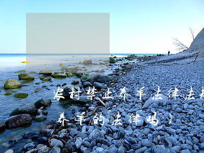农村禁止养羊法律法规(国家有不让老百姓养羊的法律吗)