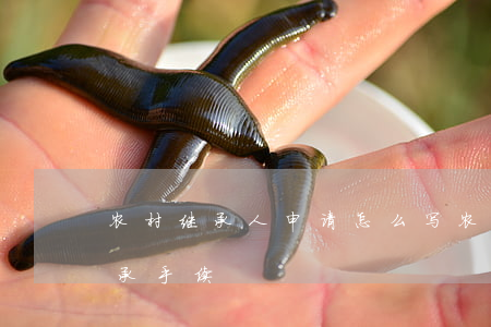 农村继承人申请怎么写(农村房屋如何办理继承手续)