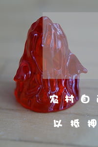 农村自己房法院可以强制抵押吗(农村民房可以抵押贷款吗)