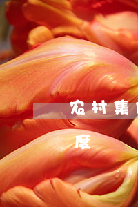 农村集体建设用地(农村集体建设用地管理制度)