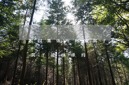 农村集体所有的房子怎么继承(集体房产证的房子能继承吗)