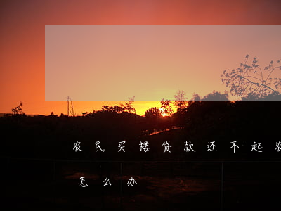 农民买楼贷款还不起(农村的房子贷款还不上怎么办)