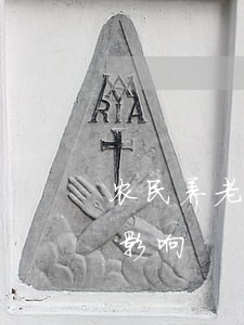 农民养老保险(农民养老保险漏交一年有什么影响)