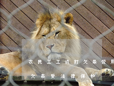 农民工工资打欠条管用吗(农民工工资怎么打欠条受法律保护)