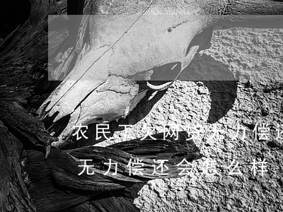 农民工欠网贷无力偿还怎么办(欠农民工工资无力偿还会怎么样)