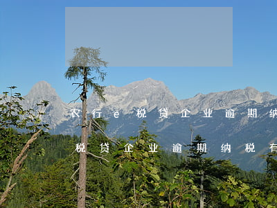 农行e税贷企业逾期纳税有影响吗-农行e税贷企业逾期纳税有影响吗知乎