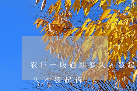 农行一般逾期多久才被起诉(农行一般逾期多久才被起诉)