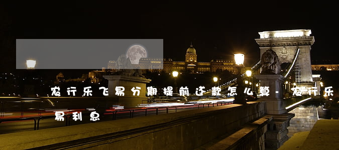 农行乐飞易分期提前还款怎么算-农行乐飞易利息