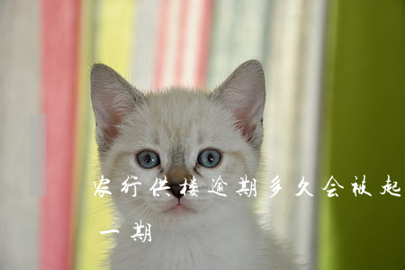 农行供楼逾期多久会被起诉 农业银行房贷欠一期