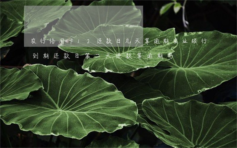 农行信用卡12还款日几天算逾期(农业银行到期还款日第二天还款算逾期吗)