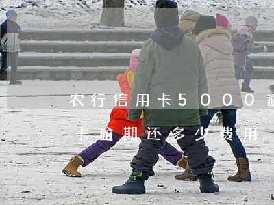农行信用卡5000逾期6个多月（农行信用卡逾期还多少费用）