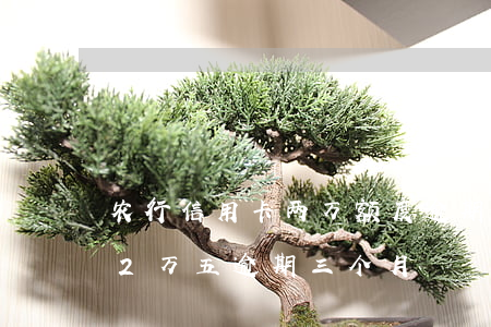 农行信用卡两万额度逾期怎么办(农行信用卡2万五逾期三个月)