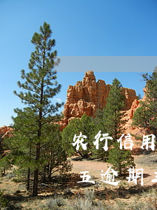 农行信用卡八千逾期两个月(农行信用卡2万五逾期三个月)
