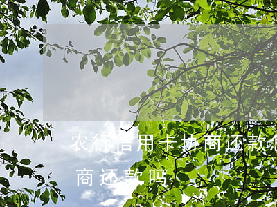 农行信用卡协商还款怎么谈(农商银行可以协商还款吗)