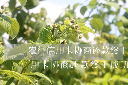 农行信用卡协商还款终于成功了吗-农行信用卡协商还款终于成功了吗怎么办