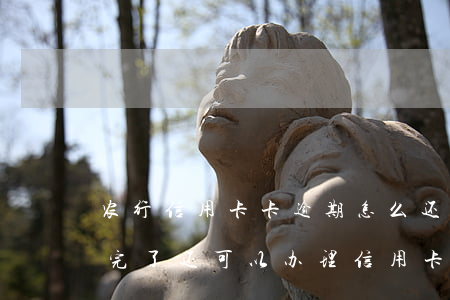 农行信用卡卡逾期怎么还(农行信用卡逾期还完了还可以办理信用卡吗)