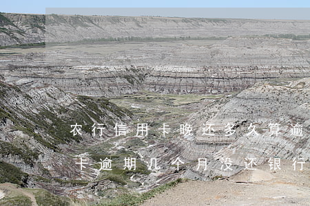 农行信用卡晚还多久算逾期(农业银行的信用卡逾期几个月没还,银行会上门吗)