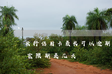 农行信用卡最长可以逾期多久(农行的信用卡宽限期是几天)