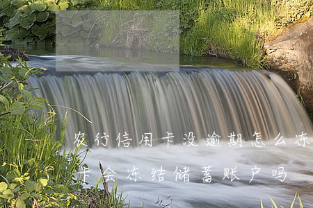 农行信用卡没逾期怎么冻结(欠农业银行信用卡会冻结储蓄账户吗)
