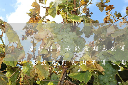 农行信用卡的逾期怎么算的(农业银行信用币还款在几天内不算逾期)