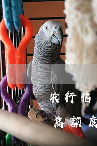 农行信用卡能透支多少额度(农商行信用卡最高额度多少)