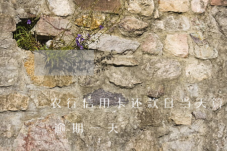 农行信用卡还款日当天算逾期吗(农行信用卡 逾期一天)