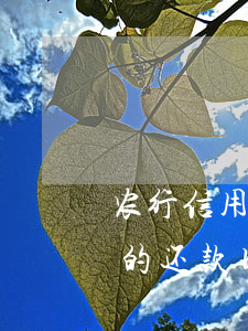 农行信用卡透支什么时候还(农商银行透支卡的还款日是哪日)