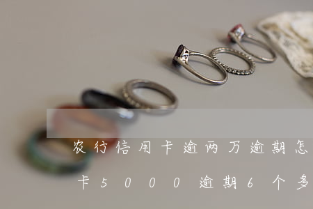 农行信用卡逾两万逾期怎么收利息(农行信用卡5000逾期6个多月)