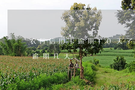 农行信用卡逾期10天了 农商行信用卡可以逾期几天