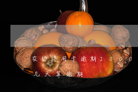 农行信用卡逾期20000(农行信用卡逾期几天算逾期)