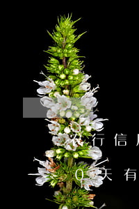 农行信用卡逾期2000(农行信用卡逾期20天有影响吗)