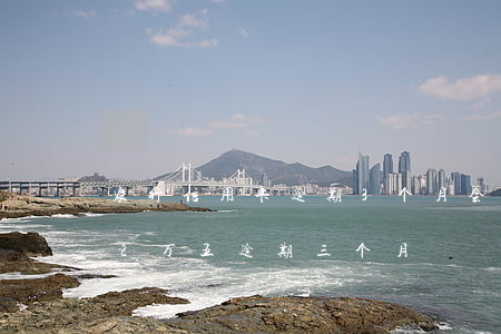 农行信用卡逾期3个月会怎么样(农行信用卡2万五逾期三个月)