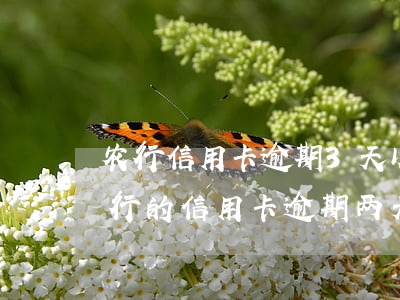 农行信用卡逾期3天以上怎么处理-农业银行的信用卡逾期两天会影响征信吗