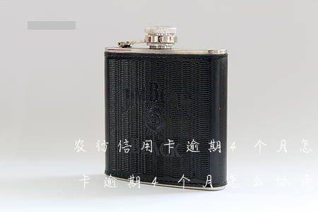 农行信用卡逾期4个月怎么协商-农行信用卡逾期4个月怎么协商还款