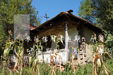 农行信用卡逾期5个月上门(农业银行的信用卡逾期几个月没还,银行会上门吗)