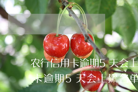 农行信用卡逾期5天会上黑名单吗(农行信用卡逾期5天会上黑名单吗贴吧)