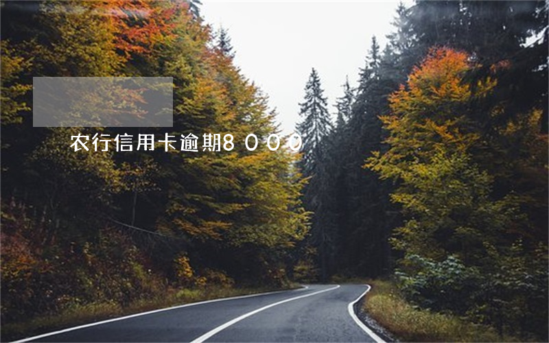 农行信用卡逾期8000