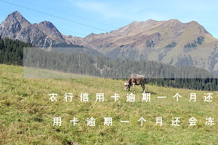 农行信用卡逾期一个月还会冻结吗-农行信用卡逾期一个月还会冻结吗怎么办