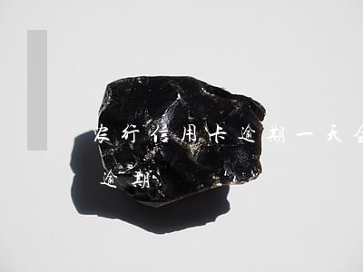 农行信用卡逾期一天会上征信吗（龙行信用卡逾期）