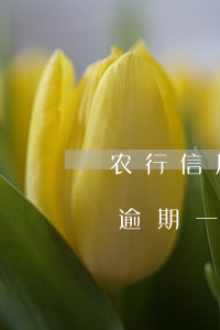 农行信用卡逾期一天利息多少-农行信用卡逾期一天利息多少钱