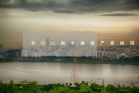农行信用卡逾期严重被锁卡(农行卡锁住了)