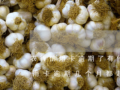 农行信用卡逾期了有什么后果 为什么农业信用卡逾期几个月都起诉了
