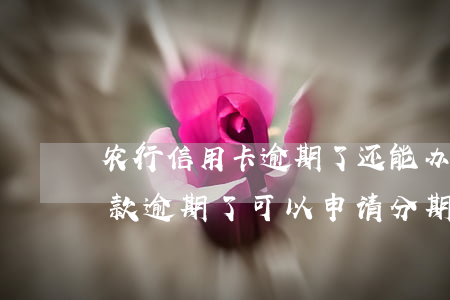 农行信用卡逾期了还能办分期吗(农商银行贷款逾期了,可以申请分期还款吗?)