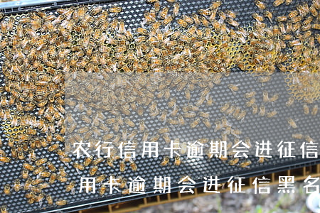 农行信用卡逾期会进征信黑名单吗-农行信用卡逾期会进征信黑名单吗知乎