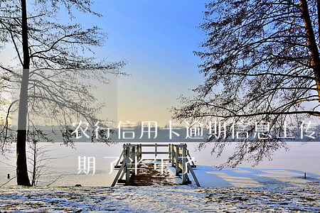 农行信用卡逾期信息上传(农商银行信用卡逾期了半年了)