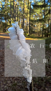 农行信用卡逾期储蓄卡还能办吗(农业银行的信用卡逾期几个月没还,银行会上门吗)